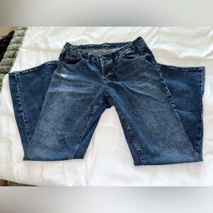 Wild Fable Blue Flare Jeans